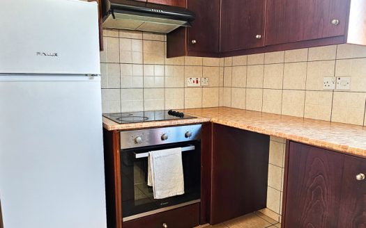 Sunlit Cozy Apartment